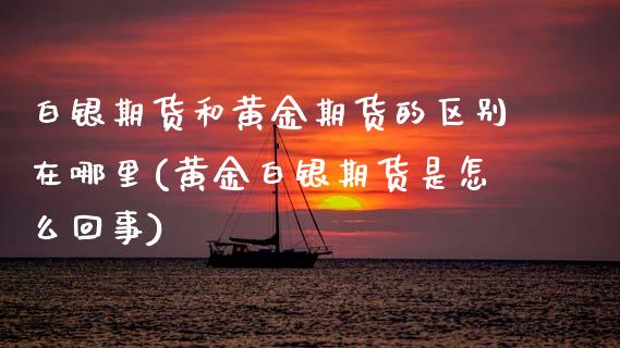 白银期货和黄金期货的区别在哪里(黄金白银期货是怎么回事) (https://www.njaxzs.com/) 期货投资 第1张