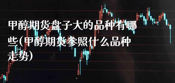 甲醇期货盘子大的品种有哪些(甲醇期货参照什么品种走势) (https://www.njaxzs.com/) 期货投资 第1张