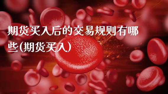 期货买入后的交易规则有哪些(期货买入) (https://www.njaxzs.com/) 期货投资 第1张