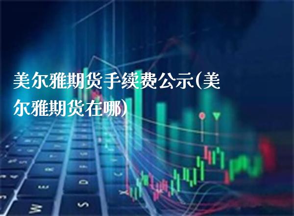 美尔雅期货手续费公示(美尔雅期货在哪) (https://www.njaxzs.com/) 内盘期货 第1张
