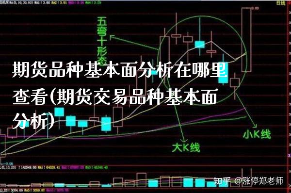 期货品种基本面分析在哪里查看(期货交易品种基本面分析) (https://www.njaxzs.com/) 期货投资 第1张