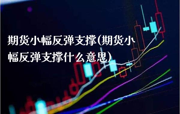 期货小幅反弹支撑(期货小幅反弹支撑什么意思) (https://www.njaxzs.com/) 期货直播间 第1张