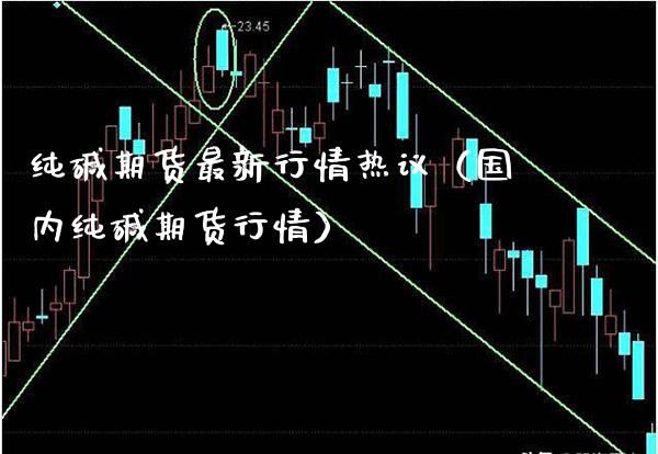 纯碱期货最新行情热议（国内纯碱期货行情） (https://www.njaxzs.com/) 内盘期货 第1张