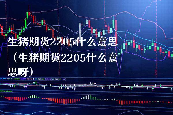 生猪期货2205什么意思（生猪期货2205什么意思呀） (https://www.njaxzs.com/) 期货行情 第1张