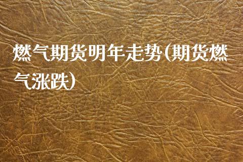 燃气期货明年走势(期货燃气涨跌) (https://www.njaxzs.com/) 原油期货 第1张