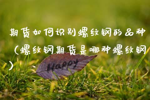 期货如何识别螺纹钢的品种（螺纹钢期货是哪种螺纹钢） (https://www.njaxzs.com/) 期货行情 第1张