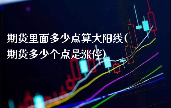 期货里面多少点算大阳线(期货多少个点是涨停) (https://www.njaxzs.com/) 期货行情 第1张