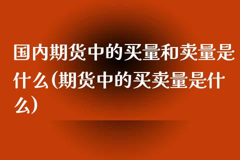 国内期货中的买量和卖量是什么(期货中的买卖量是什么) 期货直播间 第1张-爱新财经 国内期货中的买量和卖量是什么(期货中的买卖量是什么) (https://www.njaxzs.com/) 期货直播间 第1张