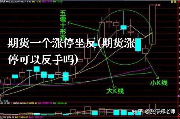 期货一个涨停坐反(期货涨停可以反手吗) (https://www.njaxzs.com/) 期货行情 第1张