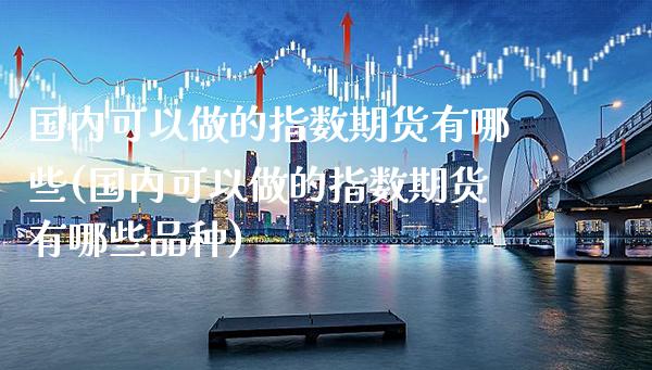 国内可以做的指数期货有哪些(国内可以做的指数期货有哪些品种) (https://www.njaxzs.com/) 内盘期货 第1张