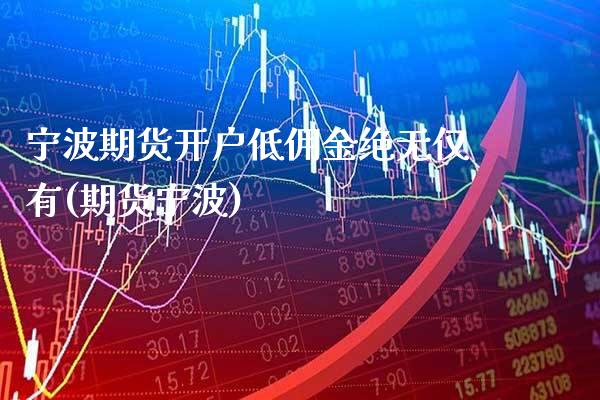 宁波期货开户低佣金绝无仅有(期货宁波) (https://www.njaxzs.com/) 期货直播间 第1张