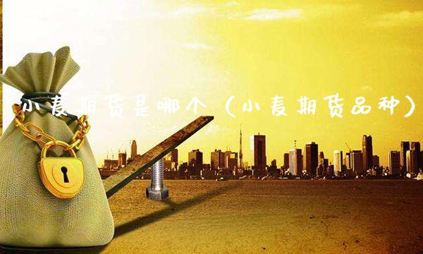 小麦期货是哪个（小麦期货品种） (https://www.njaxzs.com/) 期货直播间 第1张