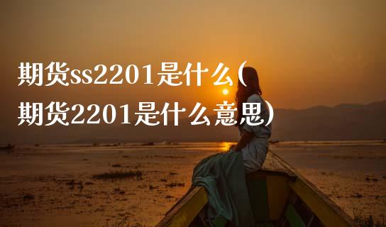 期货ss2201是什么(期货2201是什么意思) (https://www.njaxzs.com/) 期货行情 第1张
