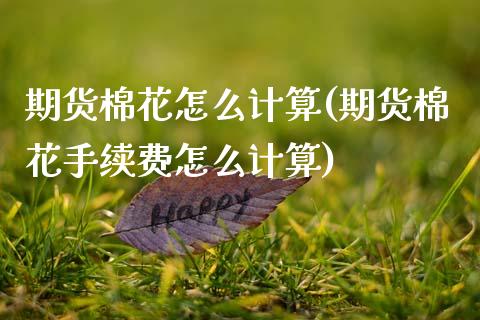 期货棉花怎么计算(期货棉花手续费怎么计算) (https://www.njaxzs.com/) 期货行情 第1张