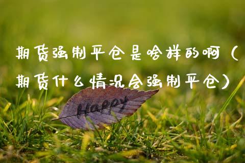 期货强制平仓是啥样的啊（期货什么情况会强制平仓） (https://www.njaxzs.com/) 黄金期货 第1张