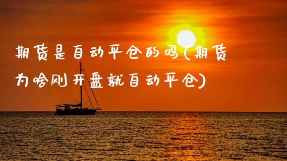 期货是自动平仓的吗(期货为啥刚开盘就自动平仓) (https://www.njaxzs.com/) 黄金期货 第1张