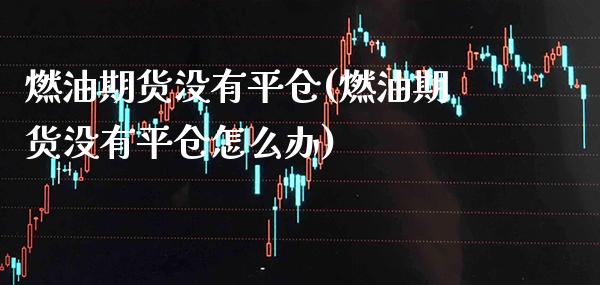 燃油期货没有平仓(燃油期货没有平仓怎么办) (https://www.njaxzs.com/) 期货直播间 第1张