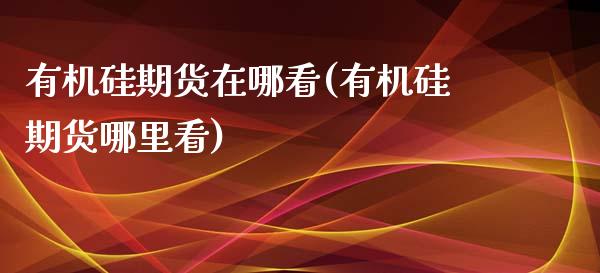 有机硅期货在哪看(有机硅期货哪里看) (https://www.njaxzs.com/) 黄金期货 第1张
