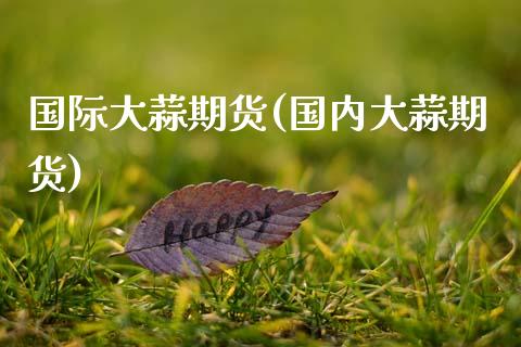 国际大蒜期货(国内大蒜期货) (https://www.njaxzs.com/) 内盘期货 第1张