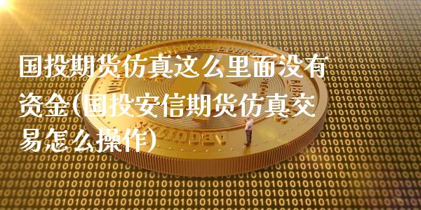 国投期货仿真这么里面没有资金(国投安信期货仿真交易怎么操作) (https://www.njaxzs.com/) 期货开户 第1张