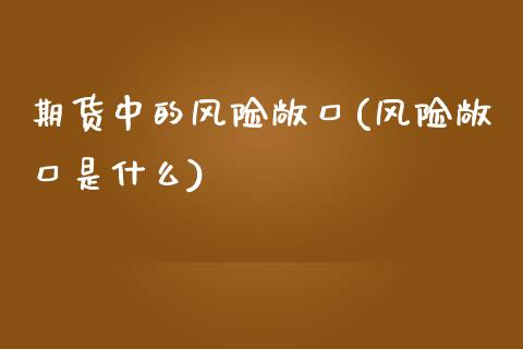 期货中的风险敞口(风险敞口是什么) (https://www.njaxzs.com/) 内盘期货 第1张