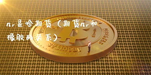 nr是啥期货（期货nr和橡胶的关系） (https://www.njaxzs.com/) 期货行情 第1张