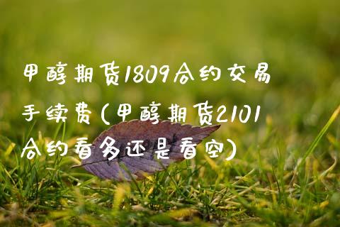 甲醇期货1809合约交易手续费(甲醇期货2101合约看多还是看空) (https://www.njaxzs.com/) 黄金期货 第1张