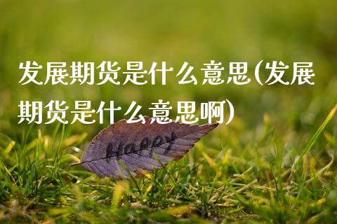 发展期货是什么意思(发展期货是什么意思啊) (https://www.njaxzs.com/) 内盘期货 第1张