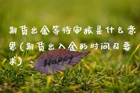 期货出金等待审核是什么意思(期货出入金的时间及要求) (https://www.njaxzs.com/) 期货投资 第1张