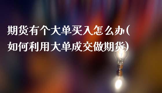 期货有个大单买入怎么办(如何利用大单成交做期货) (https://www.njaxzs.com/) 期货投资 第1张