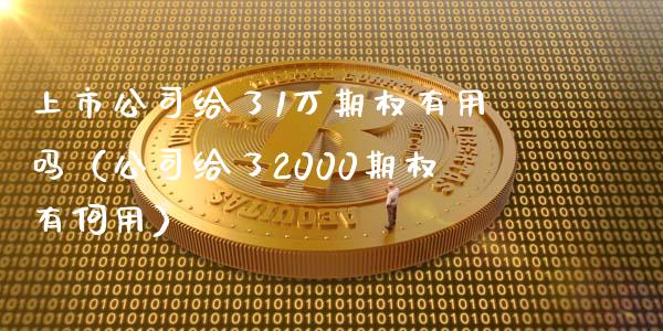 上市公司给了1万期权有用吗（公司给了2000期权有何用） (https://www.njaxzs.com/) 内盘期货 第1张