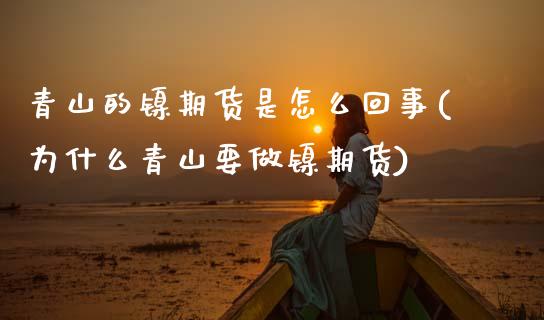 青山的镍期货是怎么回事(为什么青山要做镍期货) (https://www.njaxzs.com/) 期货投资 第1张