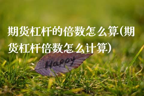 期货杠杆的倍数怎么算(期货杠杆倍数怎么计算) (https://www.njaxzs.com/) 黄金期货 第1张