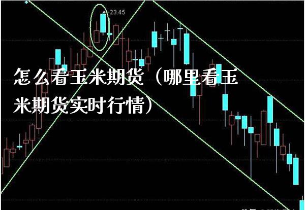 怎么看玉米期货（哪里看玉米期货实时行情） (https://www.njaxzs.com/) 黄金期货 第1张