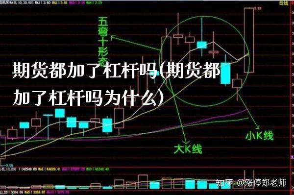 期货都加了杠杆吗(期货都加了杠杆吗为什么) (https://www.njaxzs.com/) 黄金期货 第1张