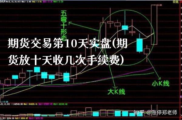 期货交易第10天实盘(期货放十天收几次手续费) (https://www.njaxzs.com/) 原油期货 第1张