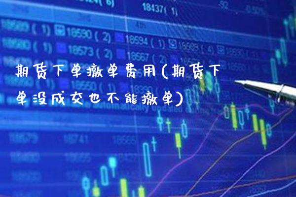 期货下单撤单费用(期货下单没成交也不能撤单) (https://www.njaxzs.com/) 黄金期货 第1张