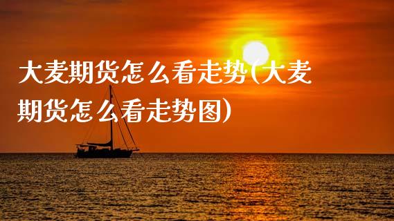 大麦期货怎么看走势(大麦期货怎么看走势图) (https://www.njaxzs.com/) 期货直播间 第1张