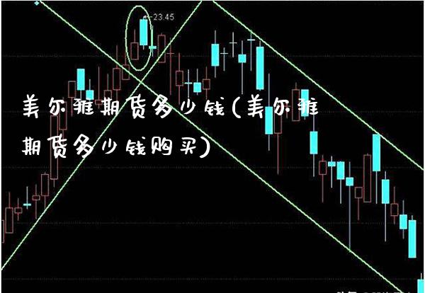 美尔雅期货多少钱(美尔雅期货多少钱购买) (https://www.njaxzs.com/) 期货行情 第1张