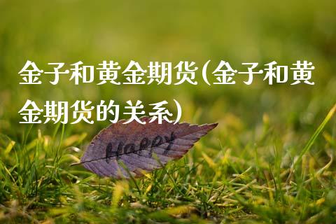 金子和黄金期货(金子和黄金期货的关系) (https://www.njaxzs.com/) 期货直播间 第1张