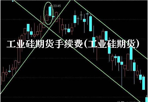工业硅期货手续费(工业硅期货) (https://www.njaxzs.com/) 期货直播间 第1张