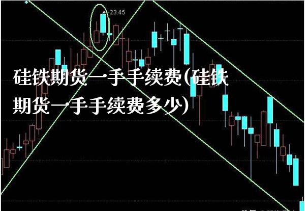 硅铁期货一手手续费(硅铁期货一手手续费多少) (https://www.njaxzs.com/) 期货开户 第1张