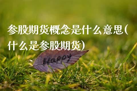 参股期货概念是什么意思(什么是参股期货) (https://www.njaxzs.com/) 期货开户 第1张