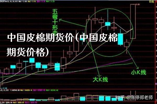 中国皮棉期货价(中国皮棉期货价格) (https://www.njaxzs.com/) 期货直播间 第1张