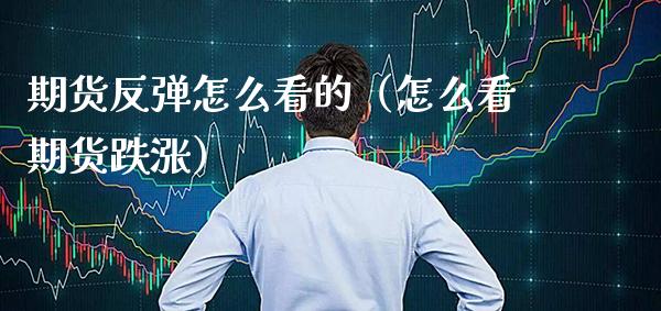期货反弹怎么看的（怎么看期货跌涨） (https://www.njaxzs.com/) 期货直播间 第1张