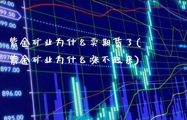 紫金矿业为什么卖期货了(紫金矿业为什么涨不起来) (https://www.njaxzs.com/) 原油期货 第1张