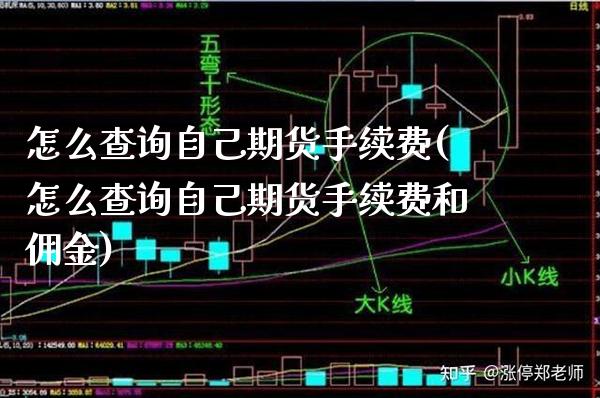 怎么查询自己期货手续费(怎么查询自己期货手续费和佣金) (https://www.njaxzs.com/) 期货行情 第1张
