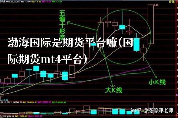 渤海国际是期货平台嘛(国际期货mt4平台) (https://www.njaxzs.com/) 原油期货 第1张