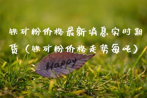 铁矿粉最新消息实时期货（铁矿粉走势每） (https://www.njaxzs.com/) 内盘期货 第1张