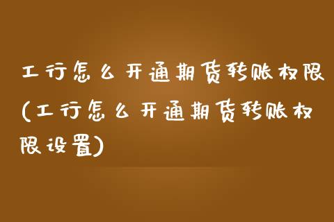工行怎么开通期货转账权限(工行怎么开通期货转账权限设置) (https://www.njaxzs.com/) 原油期货 第1张